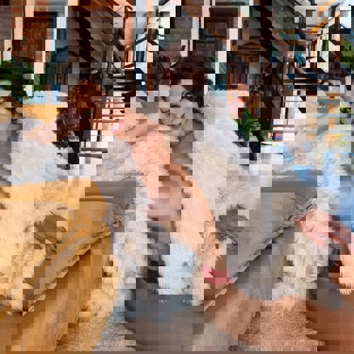 JuliaAlmeida55