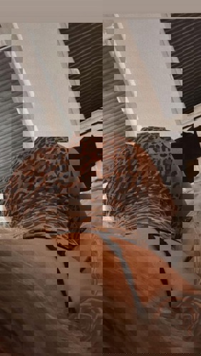 deutscheStellaNEUENUMMER - +491784092094, 01784092094, 0178-4092094