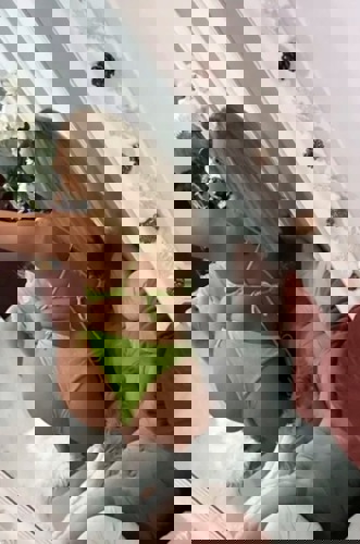 Anna116316 - +491631673668, 01631673668, 0163-1673668