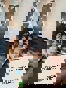 Immagine del profilo