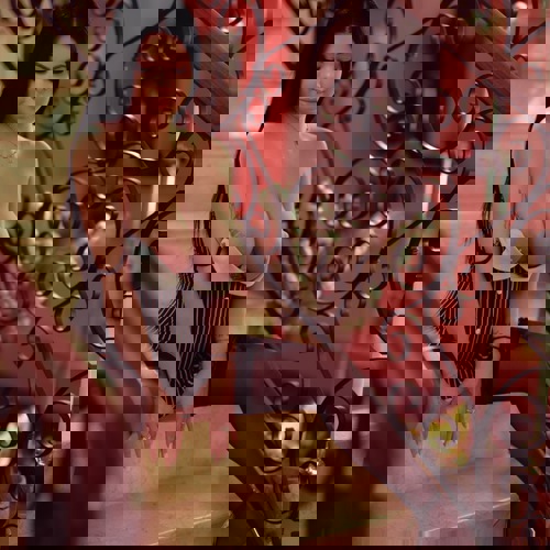 Alexa1551