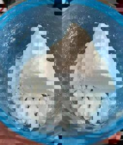 Imagem do perfil