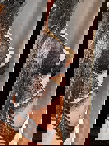 ElenaganzneuinderStadt1 - +4915781078163, 015781078163, 0157-81078163