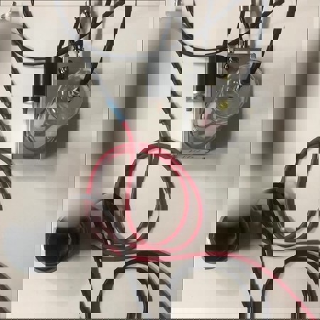BizarrladyPaloma - +491744185224, 01744185224, 0174-4185224